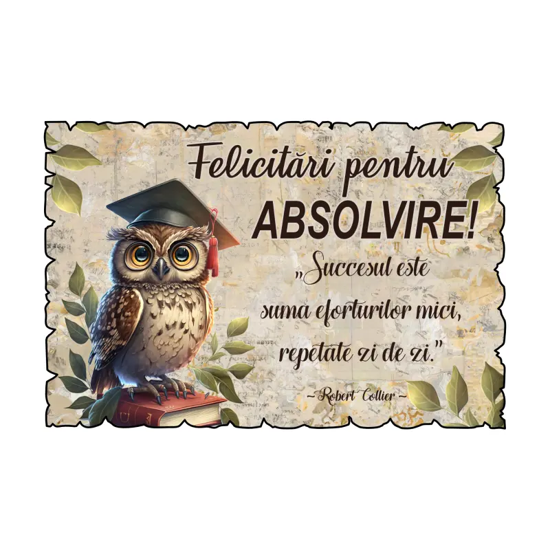 Felicitari pentru absolvire, magnet frigider, model mgs304